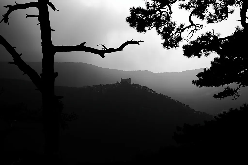 _astro/0014_castle ruins in forested hills