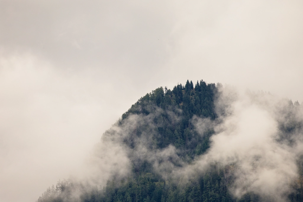 forrested mountain in clouds