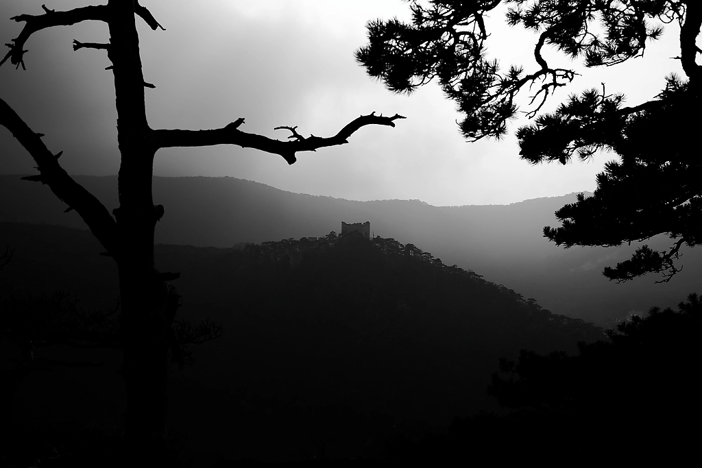 castle ruins in forested hills