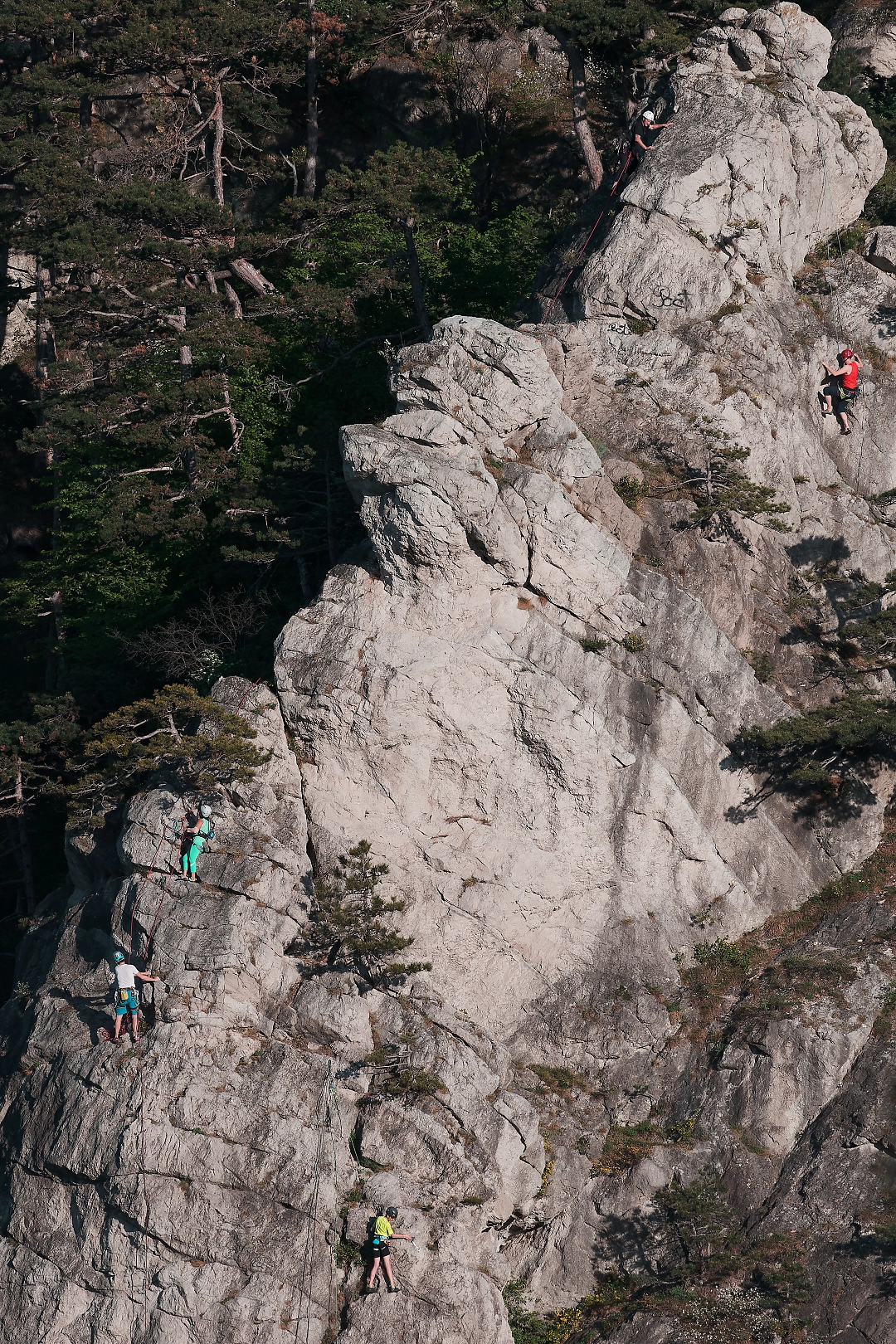 climbers on cliff